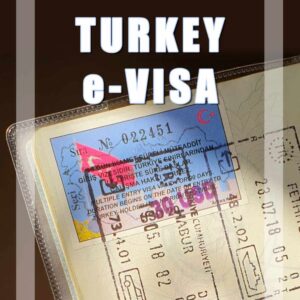 E-visa consulting